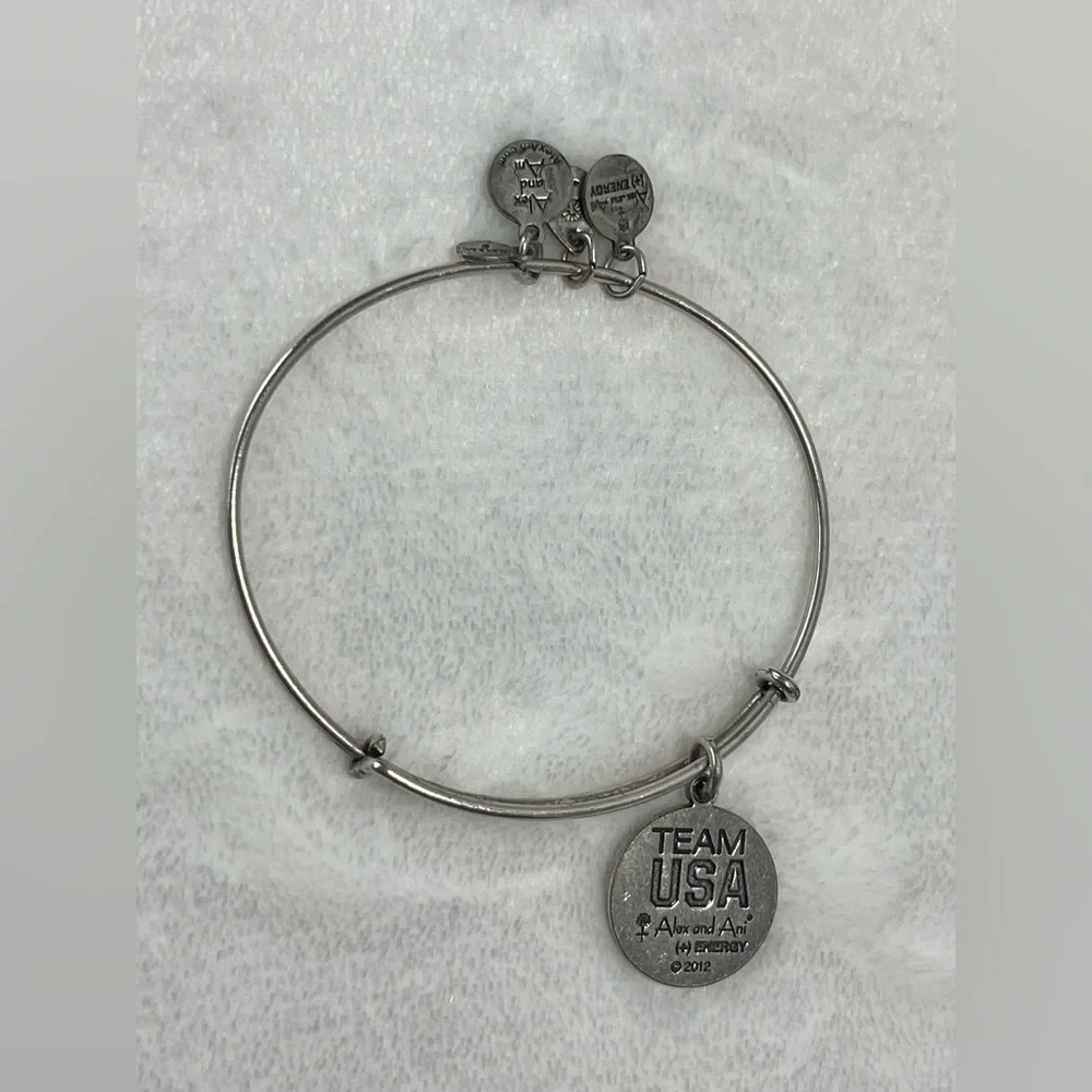 Alex and Ani bangle charm bracelet Apollo